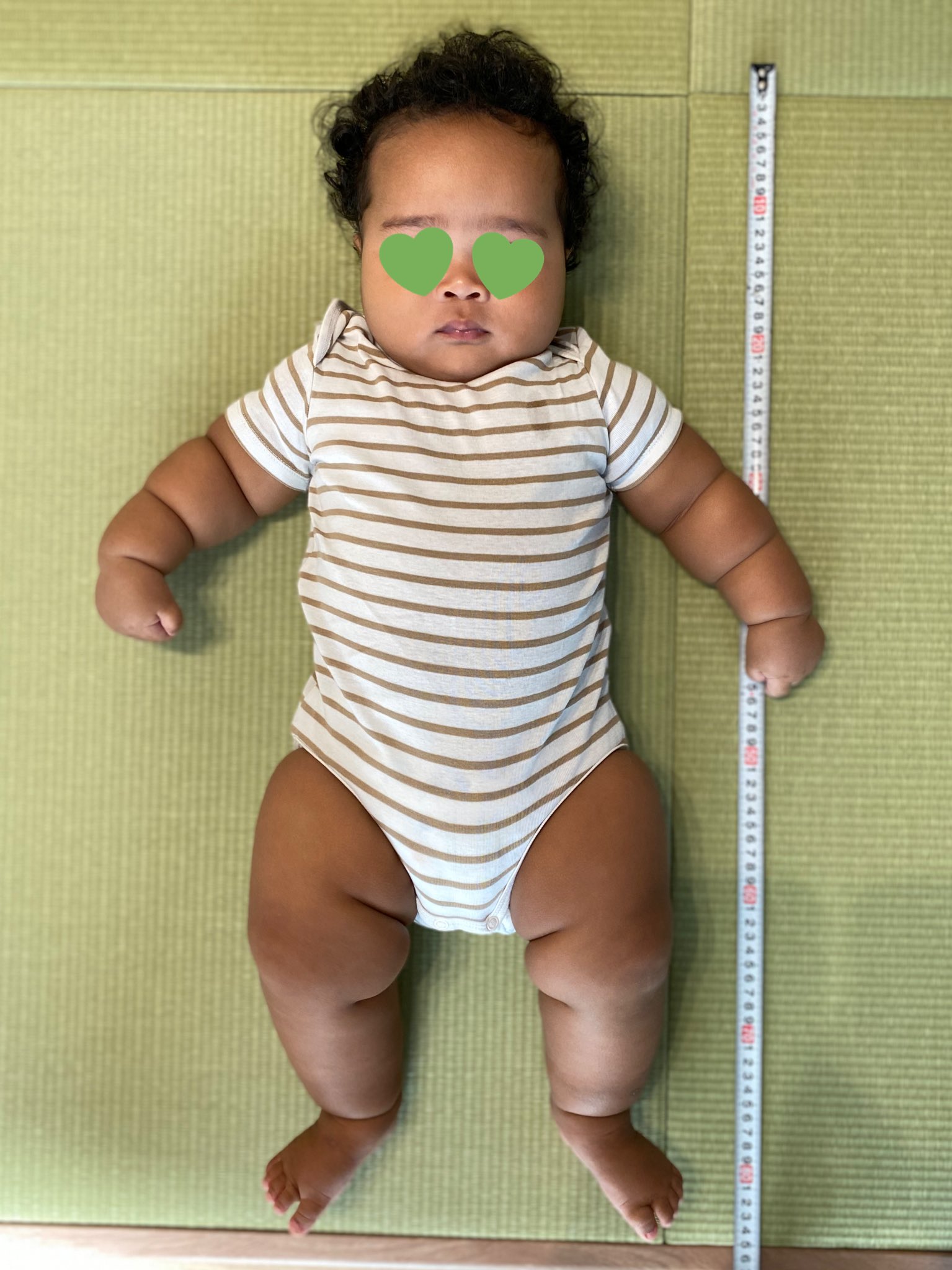 どすこい同盟自己紹介 Twitter Search Twitter