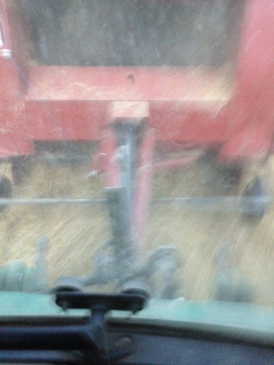 FGP Cattle tweet media