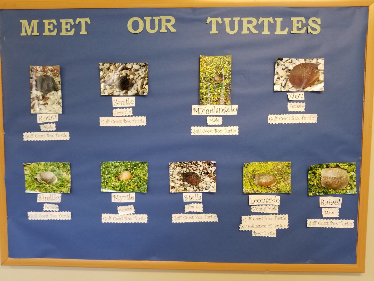 Seabee Center GPT tweet media