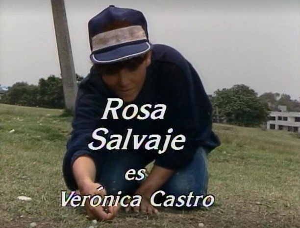 ClubVeronicaMty's tweet photo. Ya casi listos #31Agosto #RosaSalvaje  🌹#veronovelas  gracias @tlnovelastv  @vrocastroficial  @ottosirgo  #AlejandraMaldonado  #NinonSevilla #MarianaLevy   #Manina #MagdaGuzman @LAURAZAPATAM  @almayago @FeliciaMActriz  @ClubVeronicaMty @mtygris @brfach @thania17omar @thaniaDMty https://t.co/CCtm2JcfiL