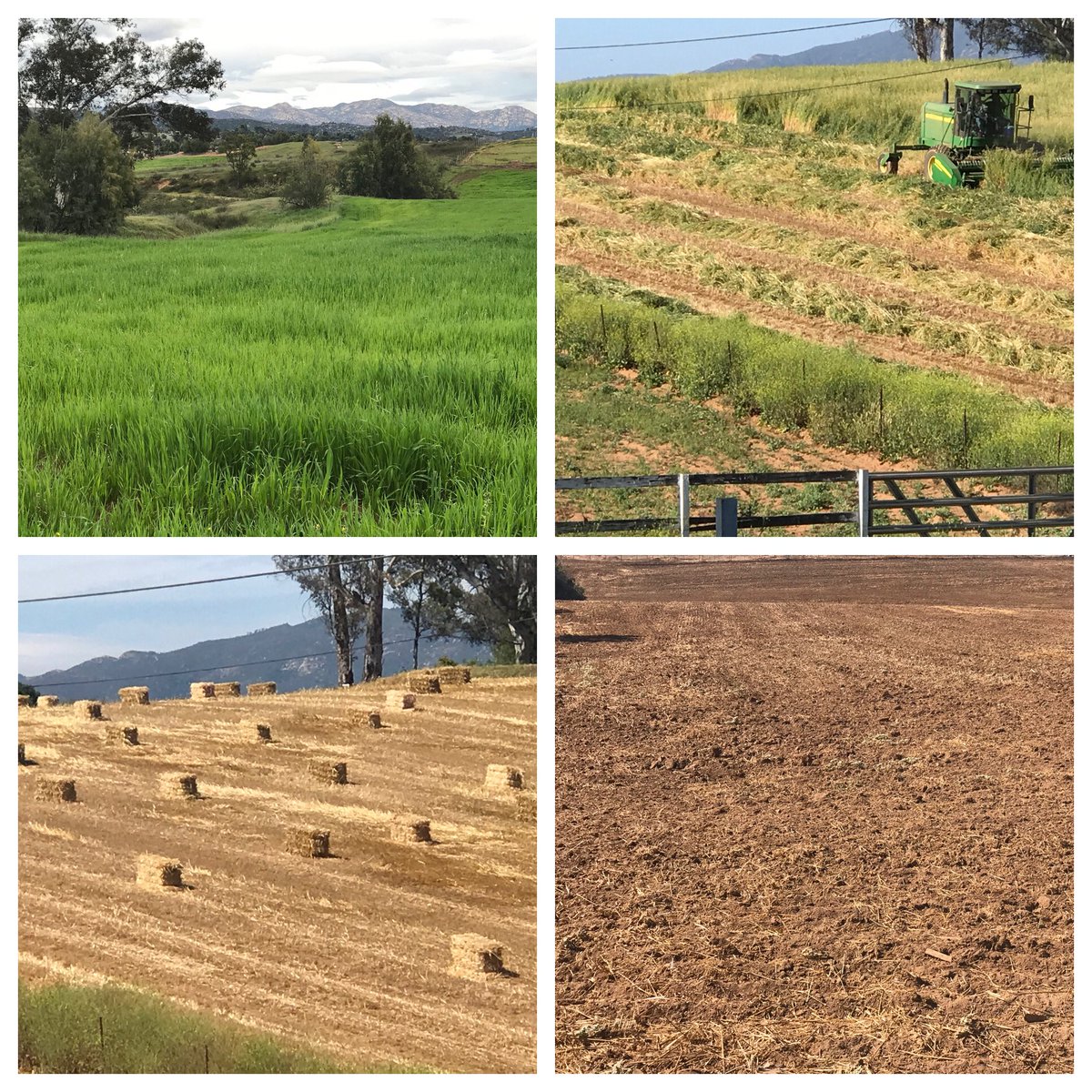 A little reflection on this #SelfCareSunday. I’ve watched the neighbors’ fields since #Covid started. #teachers - this is just another season, another part of our journey. U R amazing! Give yourself grace. #teacherwellness #distancelearning #BackToSchool #mindfulness