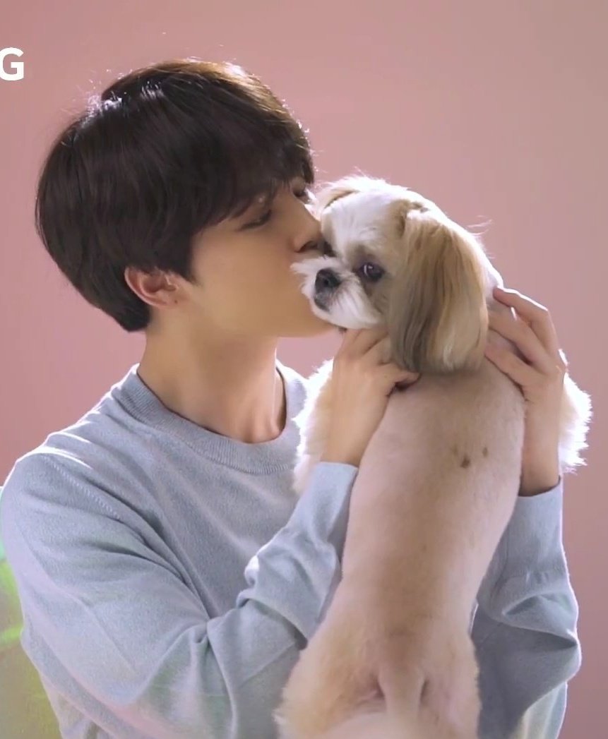 Angel with cute dogs