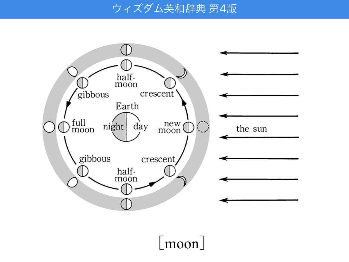 辞書アプリ Dongri 今日はウィズダム英和辞典から月の形状の図をご紹介 フルムーンやハーフムーンは聞いたことがある方も多いかもしれませんね 今日はどの月が顔を出すでしょうか 月 Moon ウィズダム英和辞典 英語学習 辞書アプリ アプリ 辞書アプリ Dongri 今日はウィズダム英和辞典から月の形状の図をご紹介 フルムーンやハーフムーンは聞いたことがある方も多いかもしれませんね 今日はどの月が顔を出すでしょうか 月 Moon ウィズダム英和辞典 英語学習 辞書アプリ アプリ