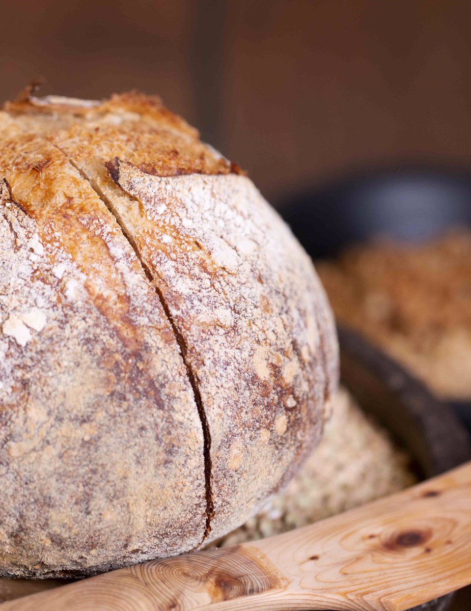 PavlovaAndCream tweet media