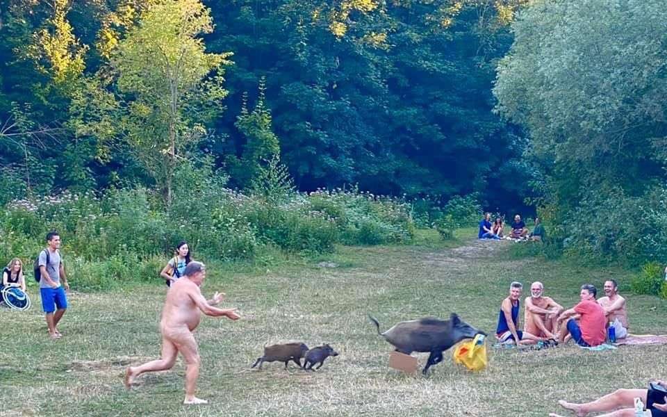 I want to assemble a gallery of photos. I have something in mind but I don’t quite know how to define it. I’ll just post one picture at a time and invite your submissions. I’ll start with a recent entrant: Naked Man Runs After Boar, Berlin 2020