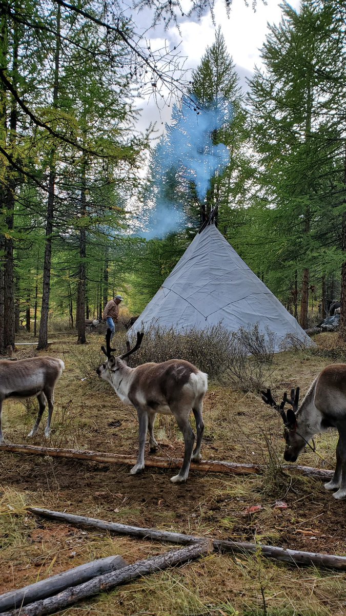 Хөвсгөл, Зүүн тайгын цаатан айлуудад эмч үзлэгээ хийлээ. Зүрх сайтай хүмүүс байна гэсэн. Хагалгаанд орох шаардлагатай 2 ахимаг насны хүн бна. Хотруу ирж чадах уу гэтэл тайгаасаа явахгүй ээ гэж бна. Эмч их л санаа нь зовоод авч явсан эмнээсээ өглөө.  <a href="/Boldsaikhan_dr/">Бундан Болдсайхан</a>