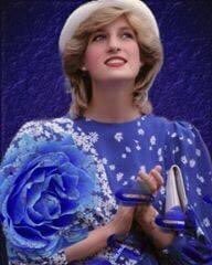 #PrincessOfWales 
Despite the problems in her private life and her tragic and unexpected end
her life still attracts people the way she deals with 
the way she dressed up
the style she adopted, 
a symbol for all 
her beauty was outstanding, 
 #PrincessDiana 
#31stAugust