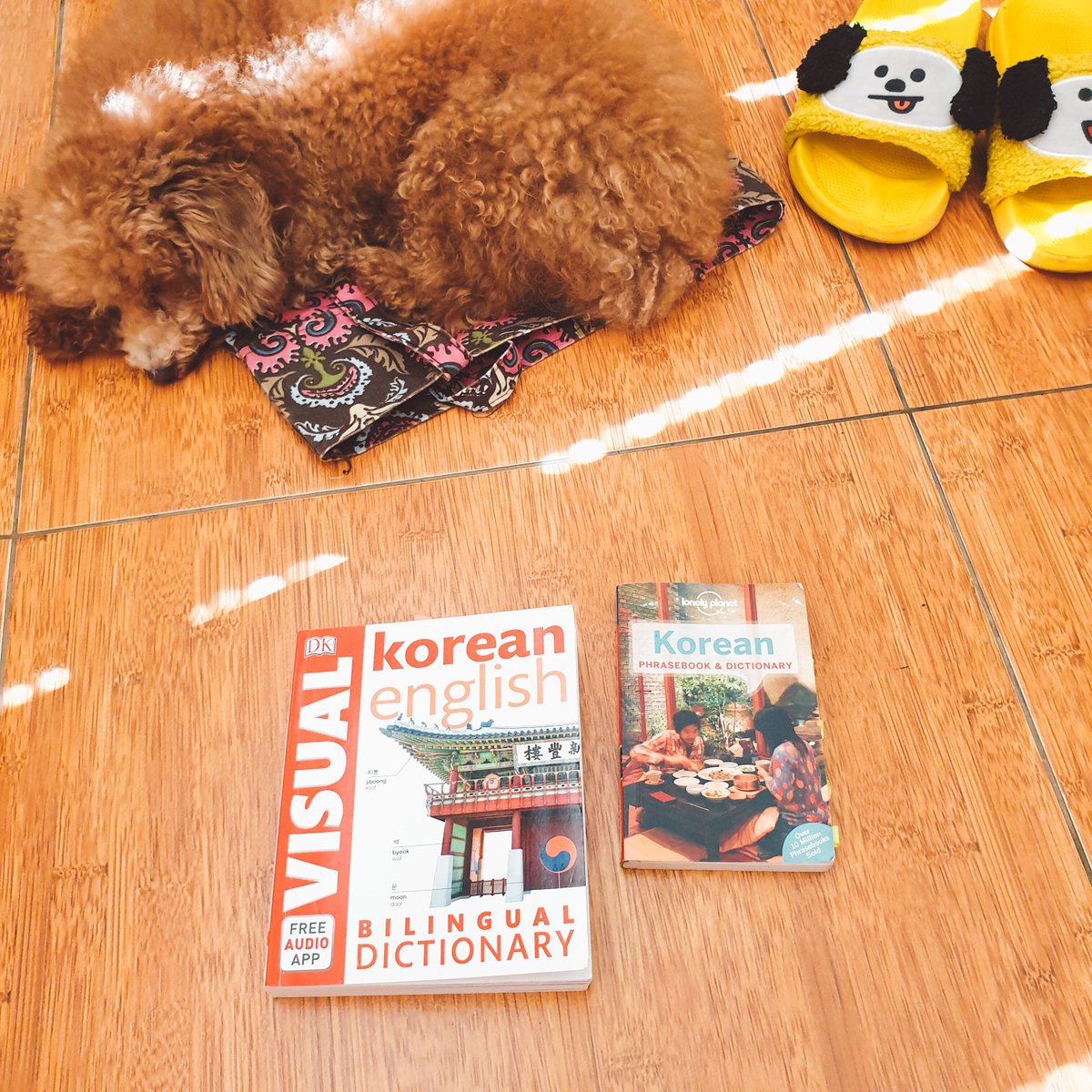 Hi ARMYs  if you're looking for a book to learn Basic Korean Language that's easy & practical. I really recommend this 2 books- Lonely Planet Korean phrasebook & dictionary (pocket size)- DK Korean Eng visual Bilingual DictionaryDetails on thread