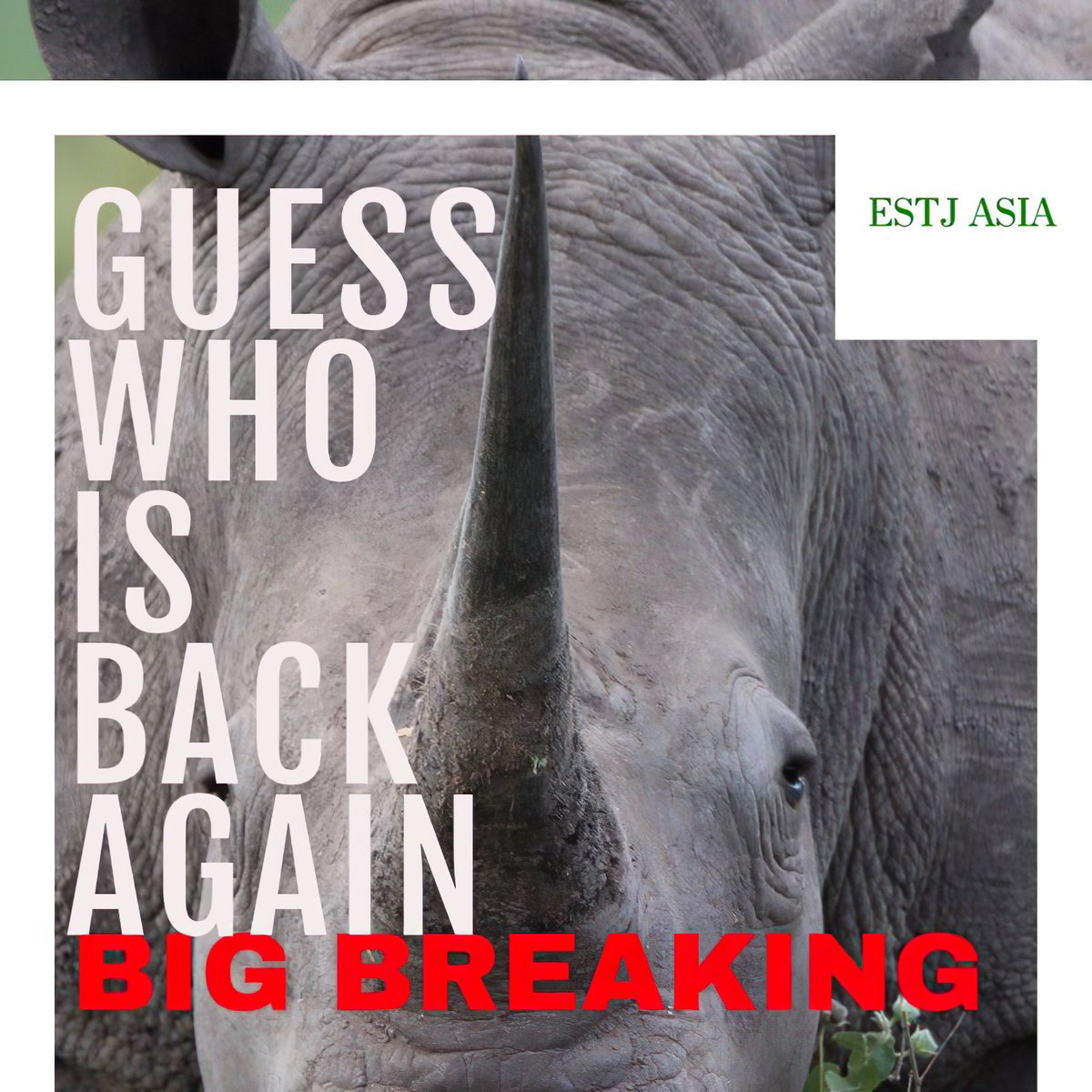 ESTJASIA's tweet photo. The news is finally out. BIG DADDY IS BACK IN BUSINESS!

News before it is, news. Join the truth. Join the revolution.
Stay informed. Be strong.

#Breakingthestereotypes #Fearmongeringbusiness #Exposecoverups #FreePress  #Fightingmisinformation #Mediacomplicity #estjasiaofficial https://t.co/0HmdFrISSH