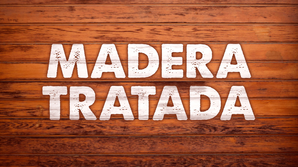 plagiser's tweet image. Existen agentes que pueden deteriorar la madera, pueden ser insectos xilófagos como las termitas o la acción de elementos naturales como el sol o la humedad. 

plagiser.com/es/blog-plagis…