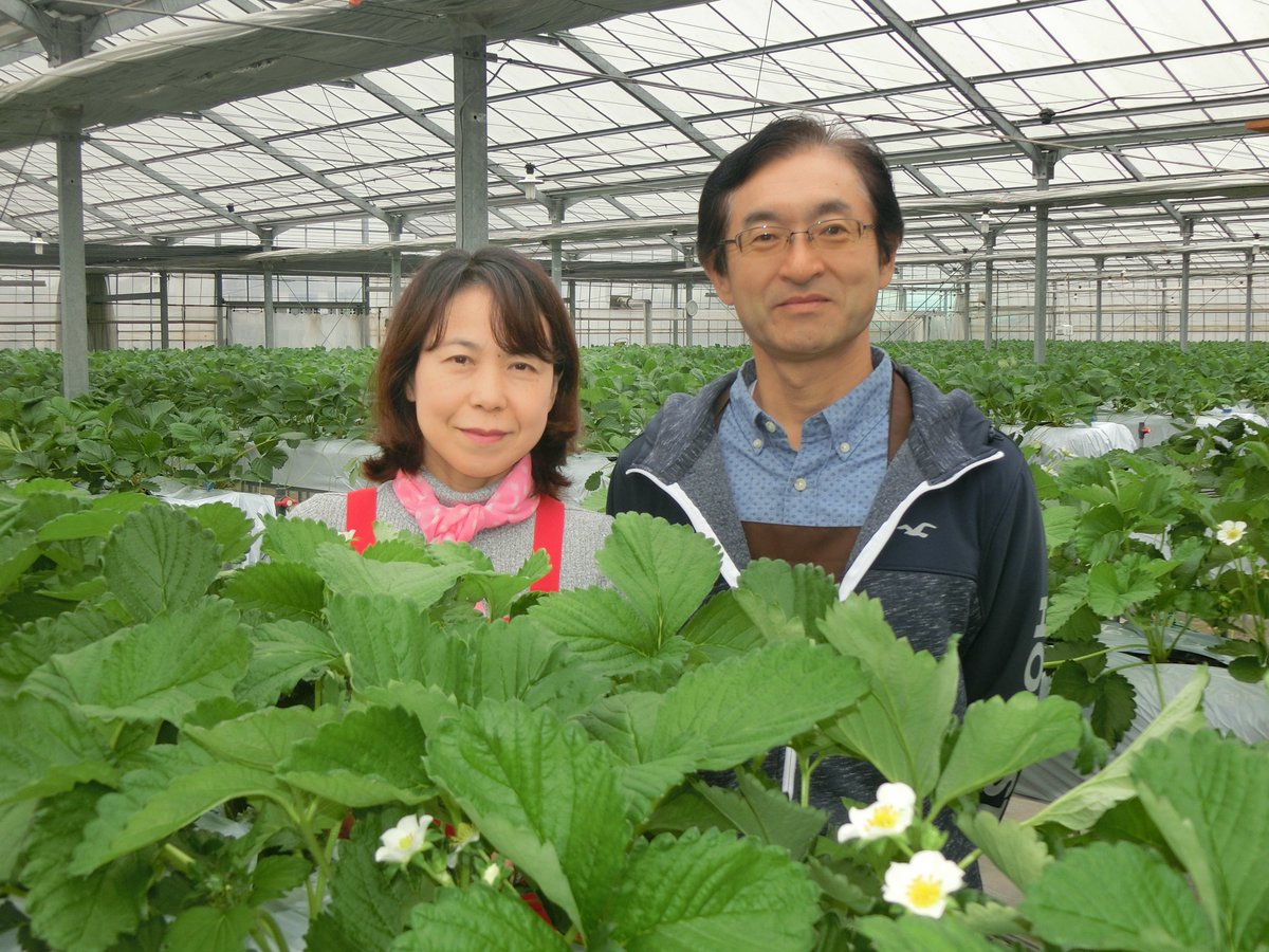ট ইট র 元気いっぱい 埼玉農林業 8月31日 月 から埼玉県内のモスバーガー店舗限定で 所沢市の北田農園のいちごを使用した まぜるシェイク 埼玉県産いちご が数量限定で発売されます バニラシェイクの上に北田農園のいちごが贅沢に入ったソースが