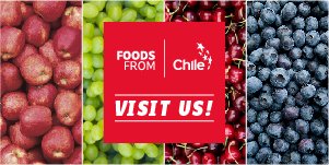 FelipeRepetto's tweet photo. Se non sapevate che il Cile è uno dei maggiori esportatori di #mirtilli al mondo, #macfrutdigital è l’occasione giusta per saperne di più. La versione online dell’evento ortofrutticolo vi aspetta dall’8 al 10 Settembre. @ProChile @foodsfromchile #agricoltura  #ortofrutticolo https://t.co/v9196PPu8k