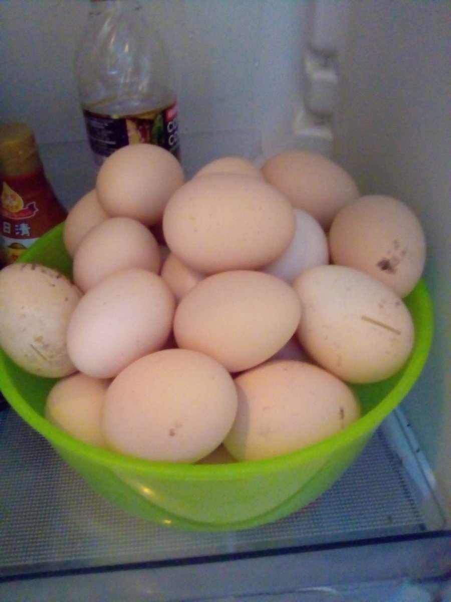 大量 消費 卵