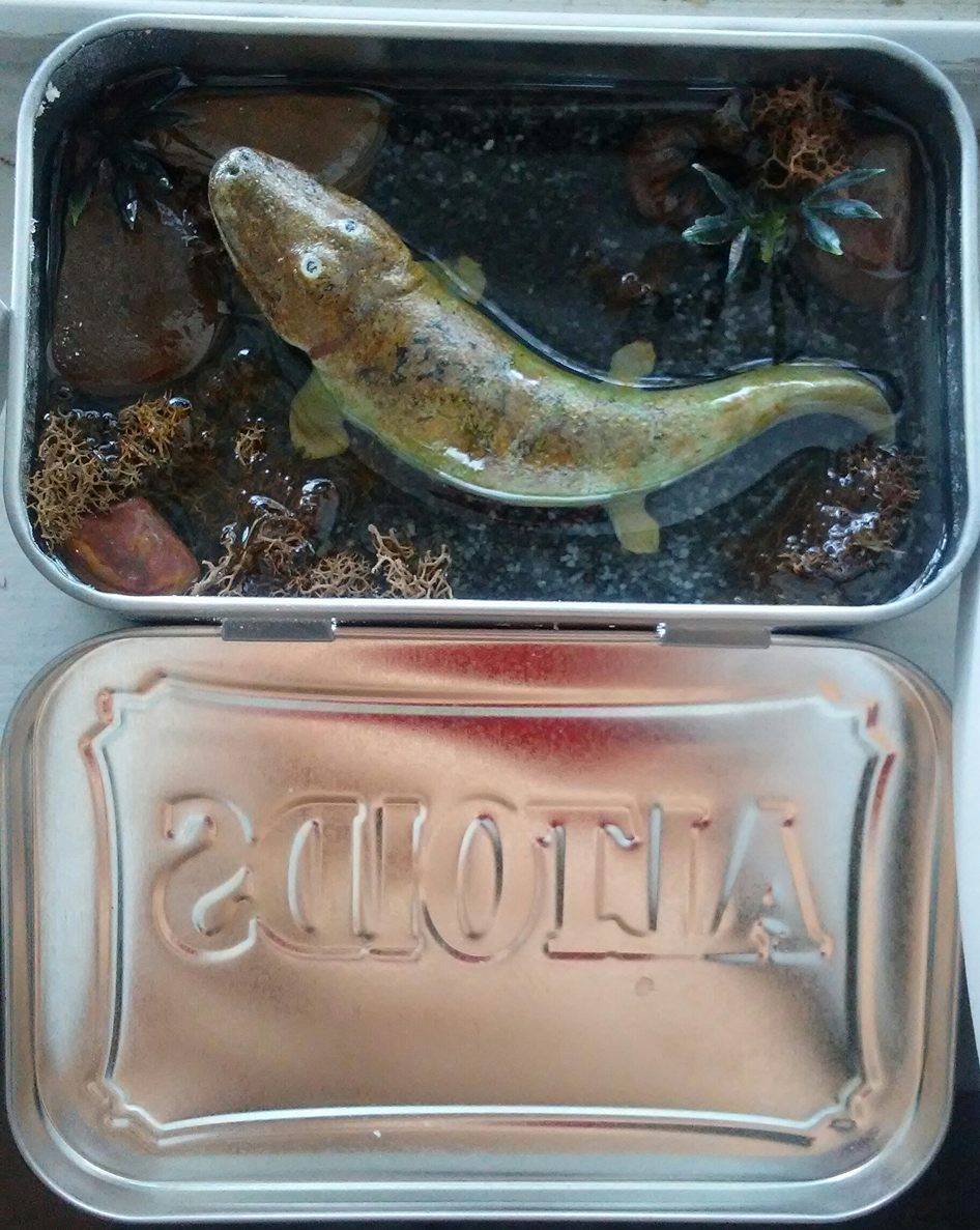 benjiopteryx's tweet photo. I used to make little altoids tin "aquariums" when resin stuff was all the rage on Etsy. 

I still like them, and want to make more https://t.co/KHVSovzFNT
