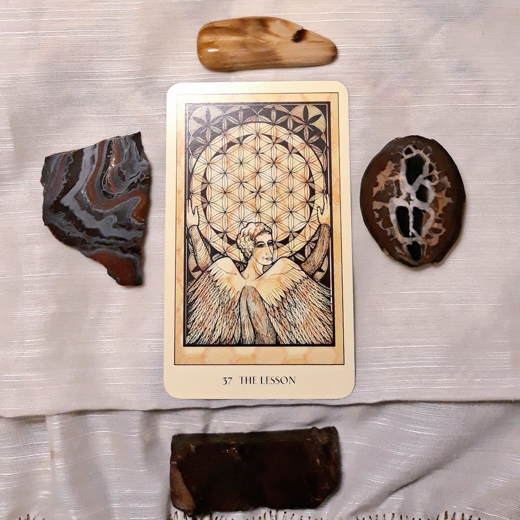 WitchesFor's tweet photo. The #TarotOfTheDay is The Lesson, ferrin The Sacred Geometry Oracle Deck
&
The #CrystalOfTheDay are (starting top, clockwise) Petrified Wood, Septarian slab, Hematite slab & Tiger Iron slab
.
#witchesforyang #witchyshit #witch #divination #psychology #tarot #crystals #crystal https://t.co/ggsbwZkgUj