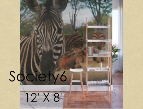 Check my photos on Society6.