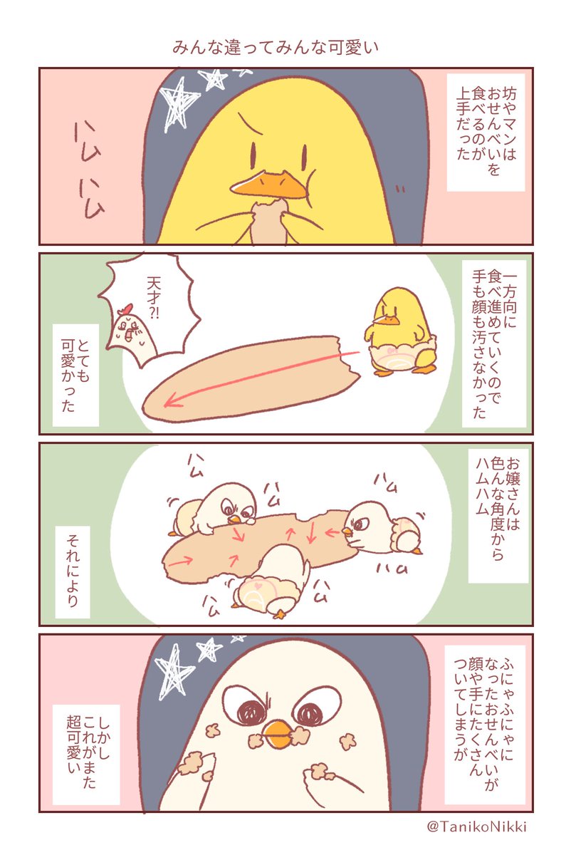 おせんべいの食べ方の正解は…
可愛ければ正解なのでみんな正解

#鶏さんの絵日記 