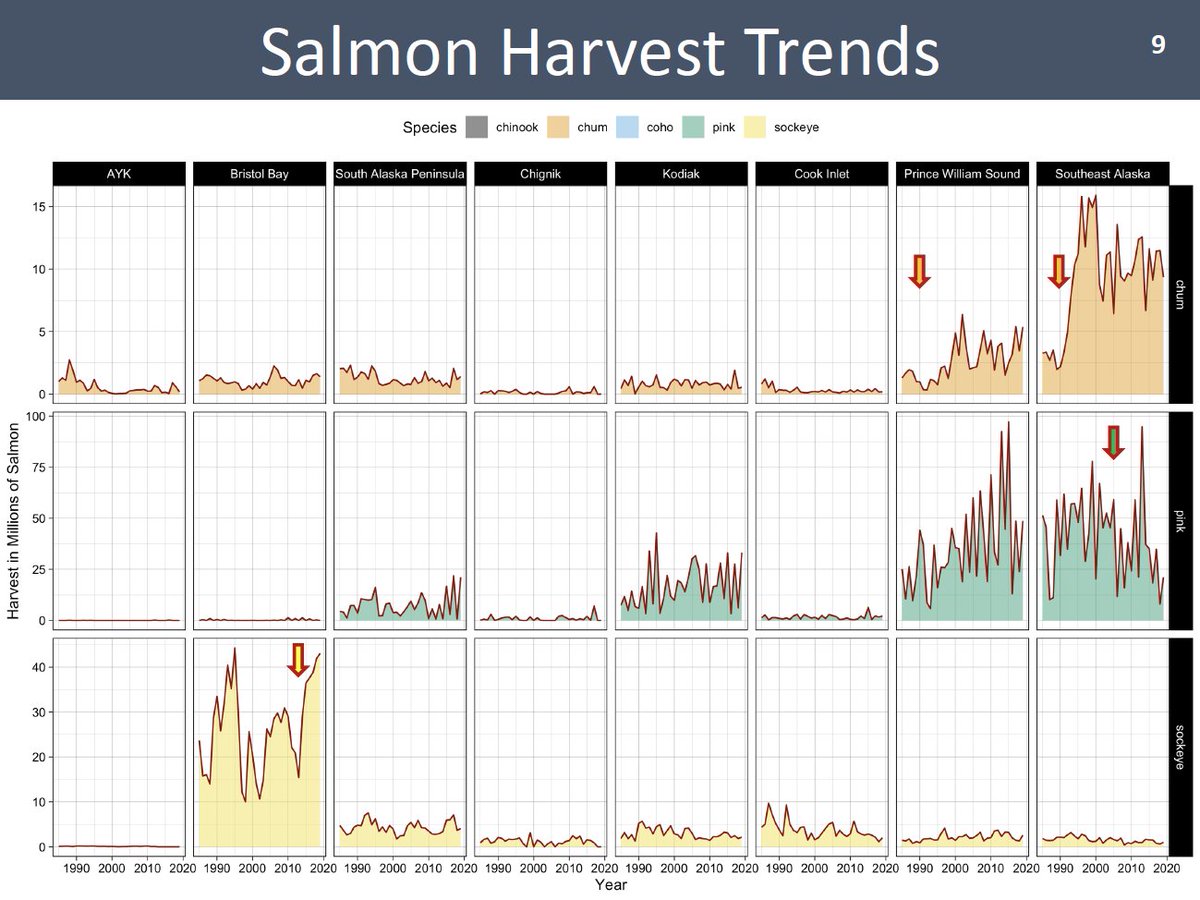 CurryCunningham's tweet photo. How have Alaska salmon harvests changed over time?
Across species and regions?
I was curious and thought you might be as well...
Thanks to #ADFG for the data summarized in these figures! https://t.co/PE0AEHSHgZ