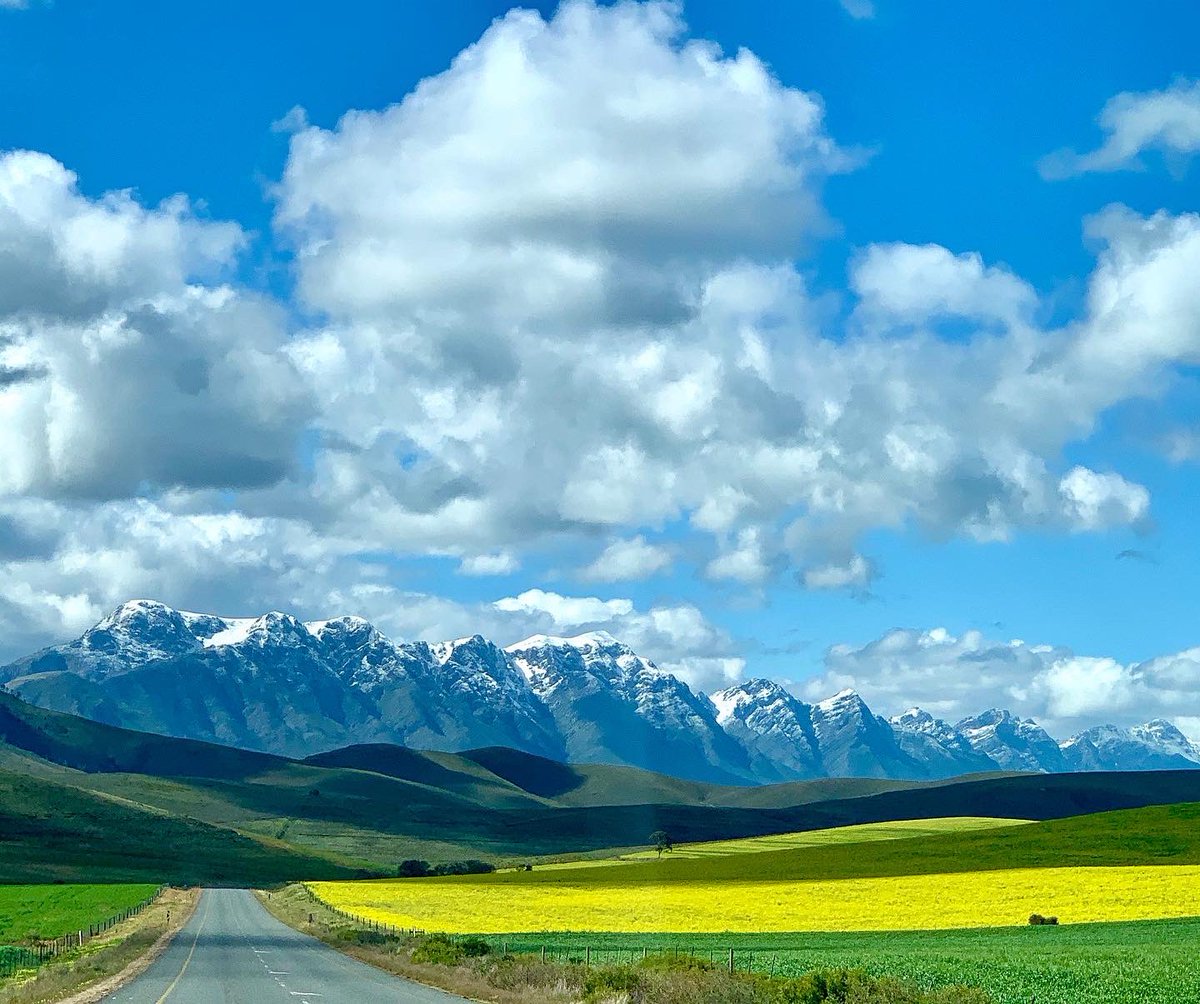 christinas_word's tweet photo. Snow chasing in the Overberg. We drove to Greyton to see the snow on the peaks. The colours of the canola and wheat dazzled our eyes #snow #mountains #canolafields #wheatfields #caledon #Route406 #Greyton #Genadendal #Overberg #westerncape #southafrica https://t.co/GrZRDEcbIt