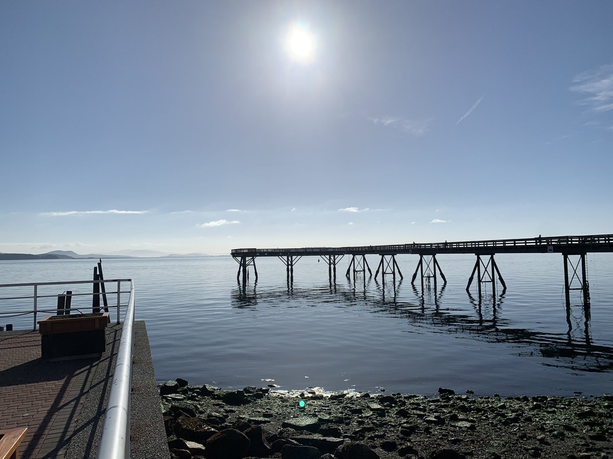 IAmCarlJensen's tweet photo. Beauty day for my first trip to #SidneySpit on #Sidney Island! If you have never been, definitely worth a visit before summer is over! @townofsidneybc @SidneyBC https://t.co/TwaH6SwoER
