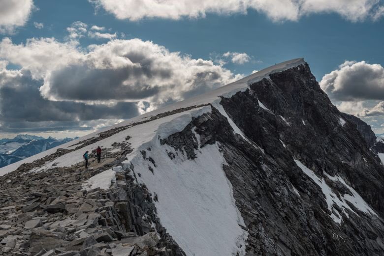 Truls Gulowsen tweet media