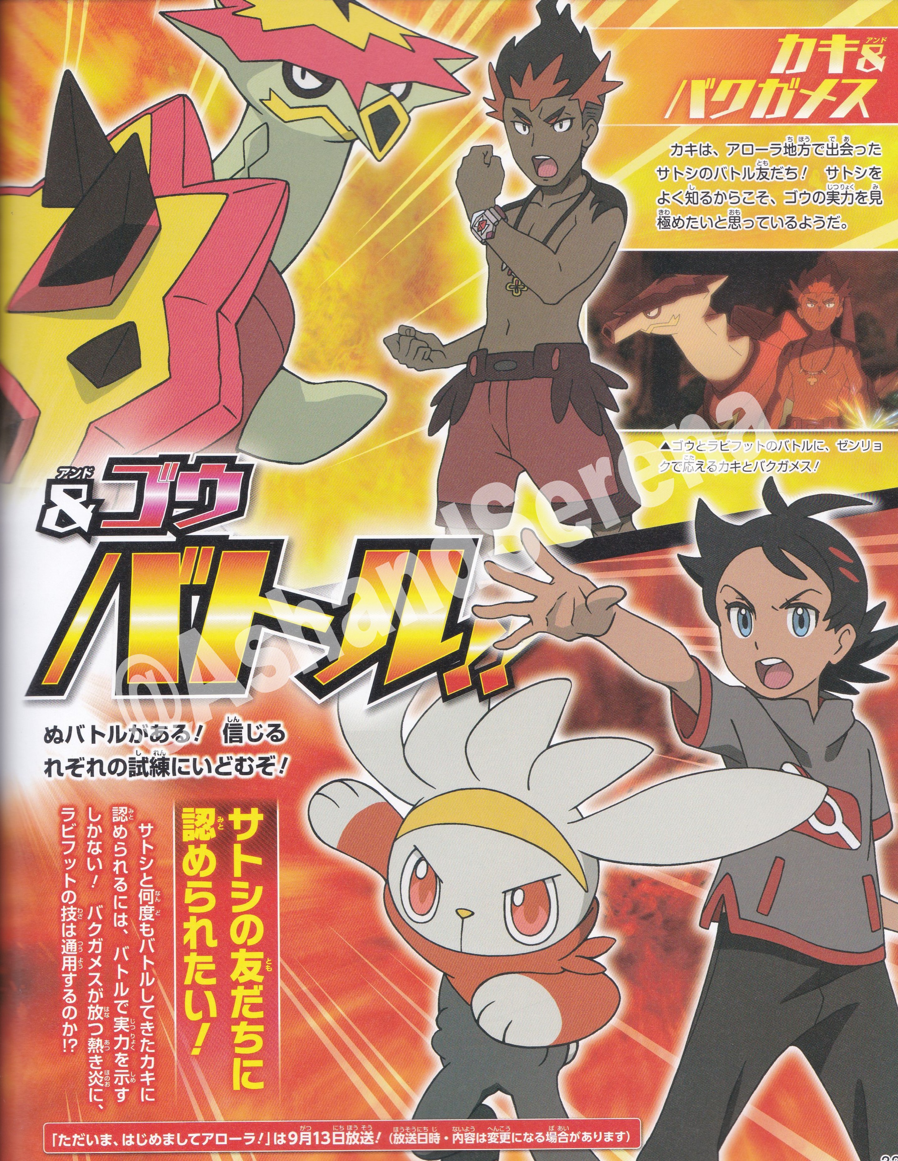 Pokémon anime