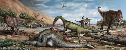 It also lived alongside alongside similarly large dinosaurian predators Bahariasaurus and Carcharodontosaurus, the titanosaur sauropods Paralititan and Aegyptosaurus, crocodylomorphs, bony and cartilaginous fish, turtles, lizards, and plesiosaurs. Artwork by Davide Bonadonna.
