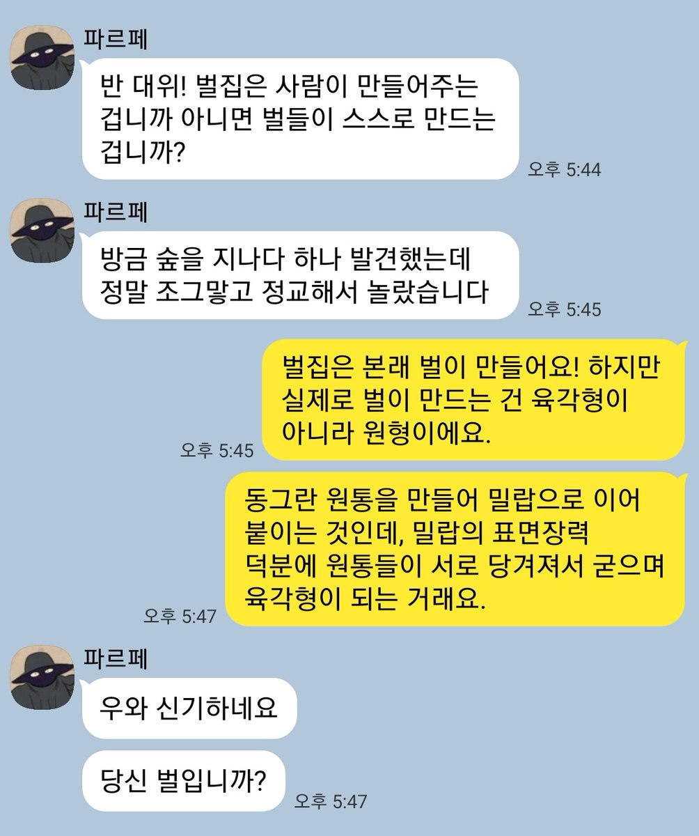반대위 꿀벌설🐝