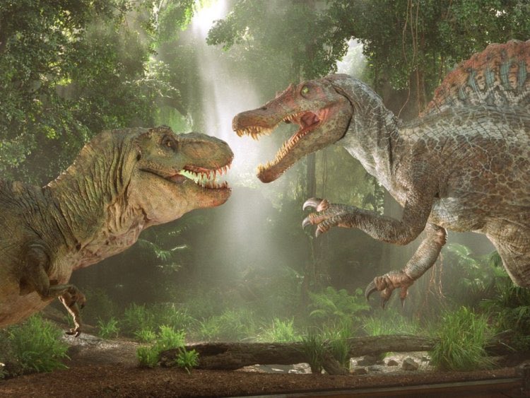 As for popular culture, Spinosaurus’ main appearance was in the film Jurassic Park III as the main villain of the film and was prominently featured fighting and killing the Tyrannosaurus, thus leading to numerous “versus matchups” between Spinosaurus and Tyrannosaurus.
