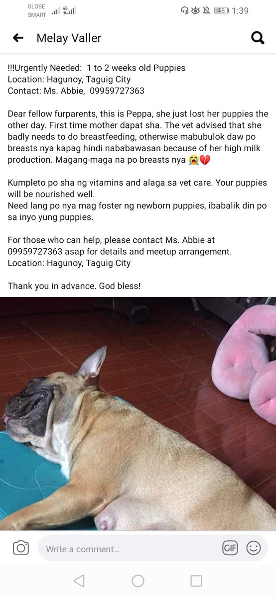 WHILE WERE IN HERE, CAN WE ALSO HELP ANOTHER MAMA DOG?????PLEASE HELP THIS MAMA DOG TOO. 