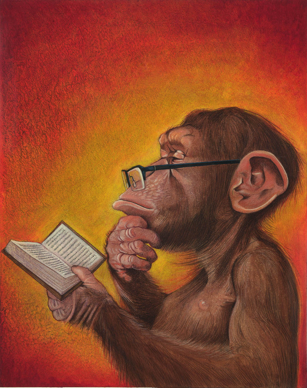 This Pic of a Monkey Reading Begs to be a Meme. Send Us Your Versions