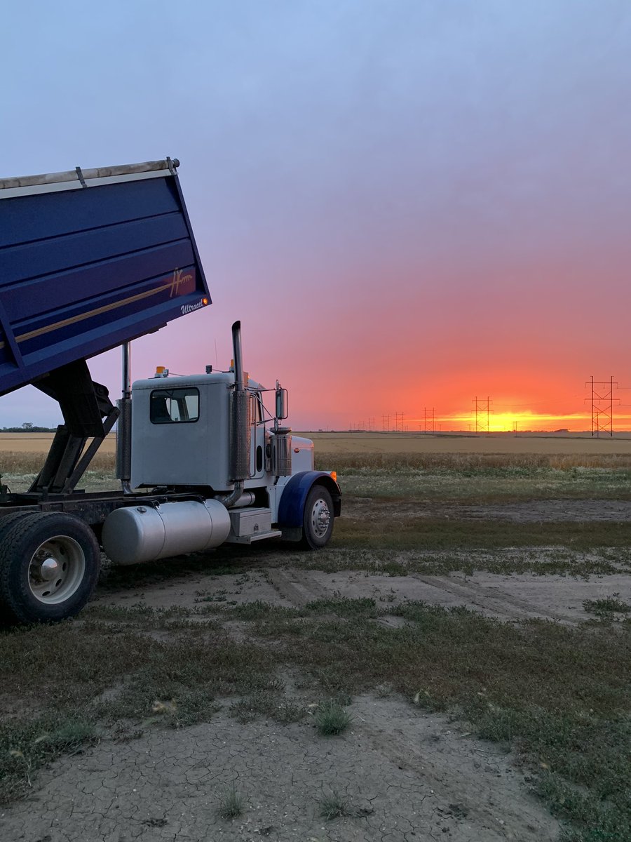 Byron Bitz tweet media