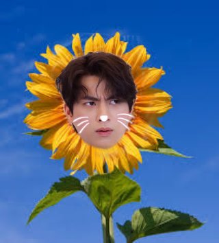 Mew said Gulf is like a sunflower (Later in vlive he said he loves sunflowers )(This is part 1 just cuz I don't understand how Twitter works bye )