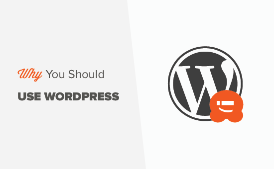 KrishaWeb's tweet photo. Why should you use WordPress?๐คWhy do you need to switch to WordPress from another platform?๐
Letโs have a look at why you should go for #WordPress: Roll your eyes to further threads ๐
#WhyWordPress #WordPressWebsite @wpbeginner https://t.co/xIkPlZDwiV