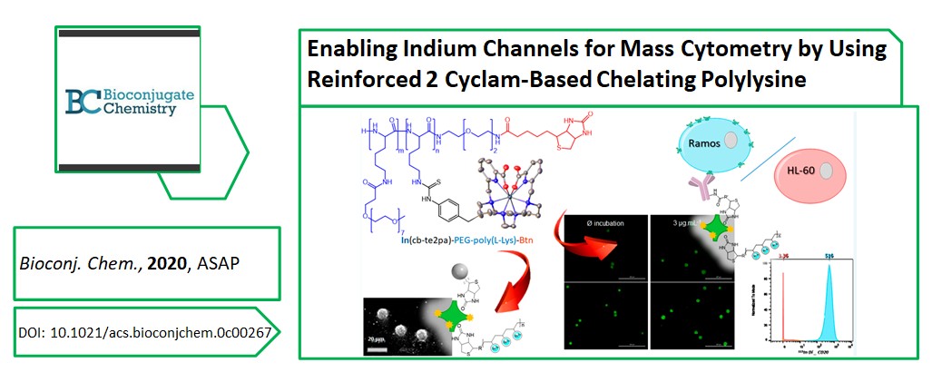 UMR_6521's tweet photo. #ResultatScientifique : Découvrez une nouvelle étude originale de cytométrie de masse alliant complexe d'#Indium (III), #polymere de #lysine &amp; #cyclam !
➡️https://t.co/43HHXbL5wY
🔎10.1021/acs.bioconjchem.0c00267

@UBO_UnivBrest @CNRS_dr17 @Cosm_Cemca 
  #chimie #CyTOF https://t.co/gpVGc29XCs