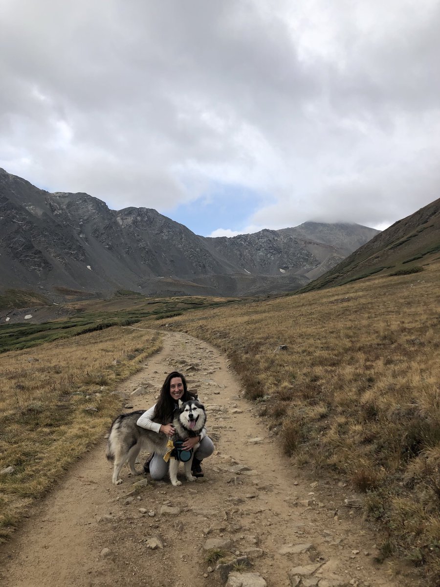 NancyMcCallin's tweet photo. Happy days😀🐾🐾🐾🐾 https://t.co/P9WHFPAku7