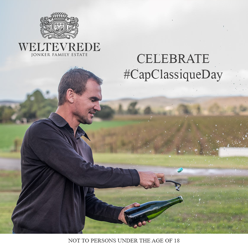 _weltevrede's tweet photo. Cap Classique is such a special and unique creation it deserves its own day on the calendar!🍾
Celebrate #CapClassiqueDay TOMORROW with the vibrant Brut Entheos🥂

#weltevrede #celebratelife #CapClassiqueDay #capclassique #capclassiqueallday #fortheloveofbubbly #uniquelysa #p ... https://t.co/5lGPBe3VO7