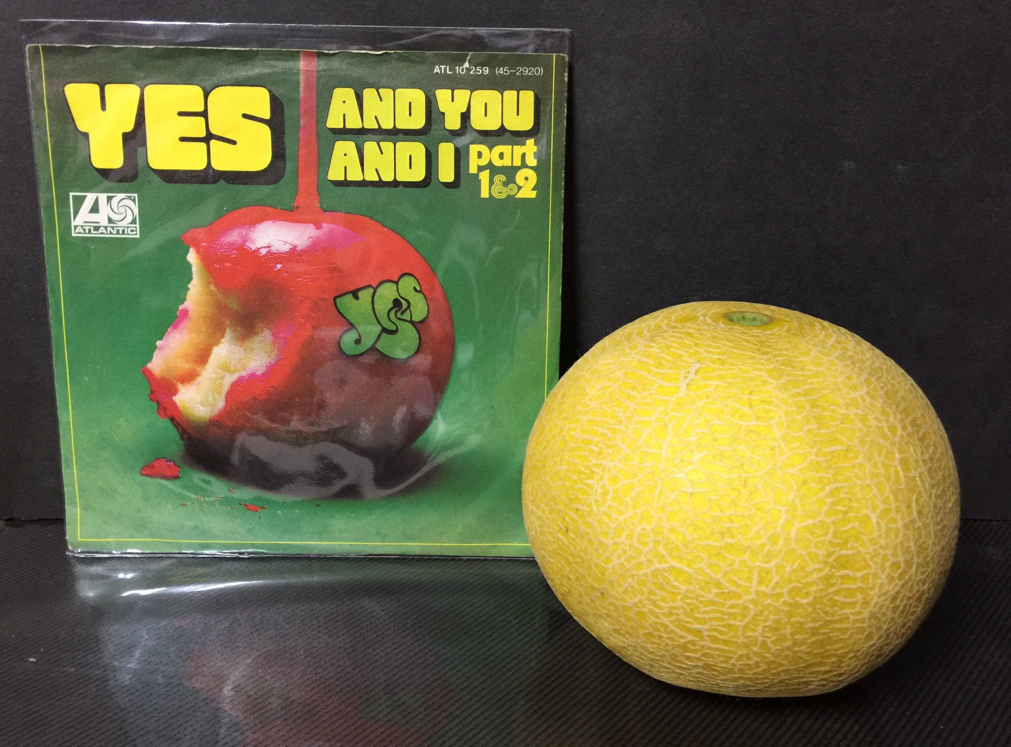 ころたんメロン - Search / X