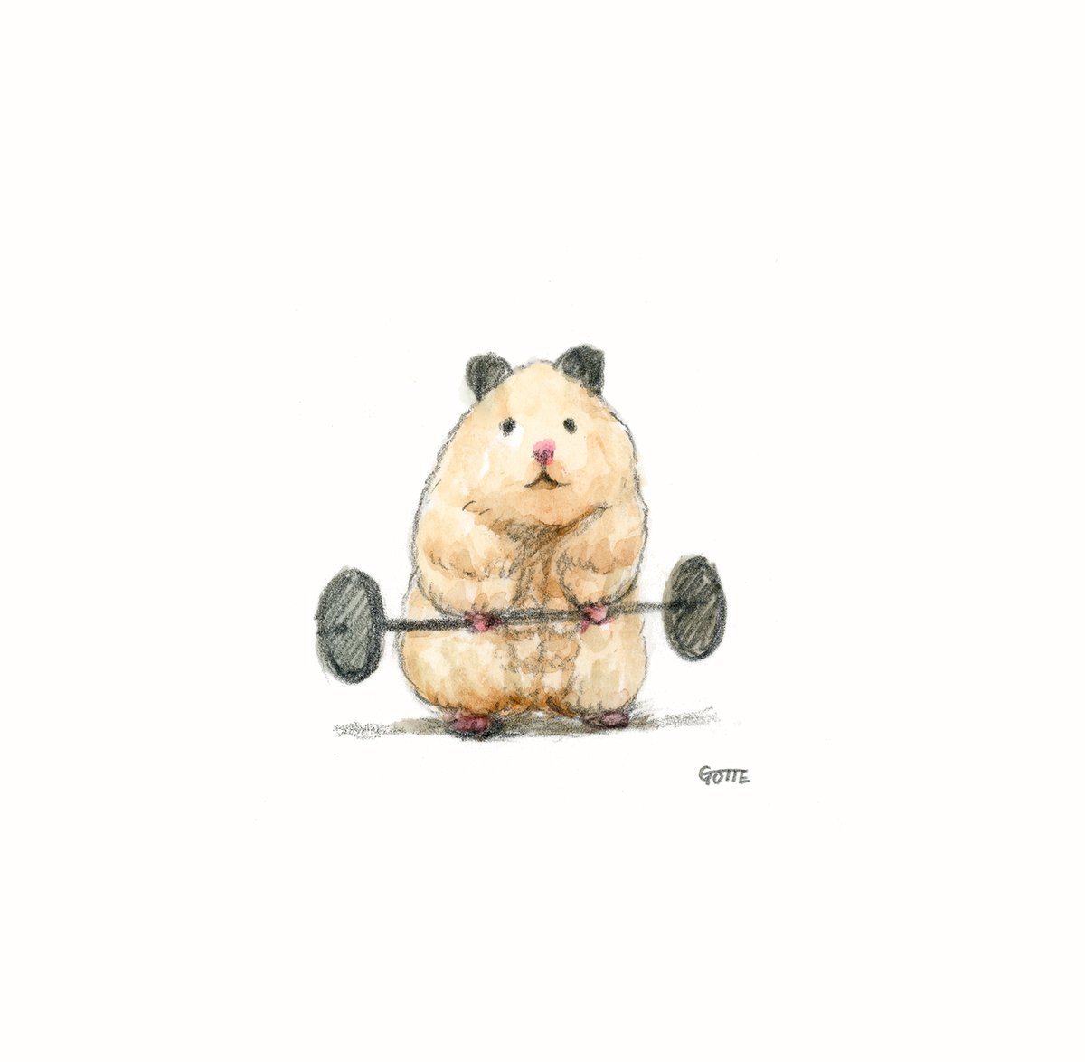 Twitter पर Gotte Hamsterpainter 筋トレハムスター