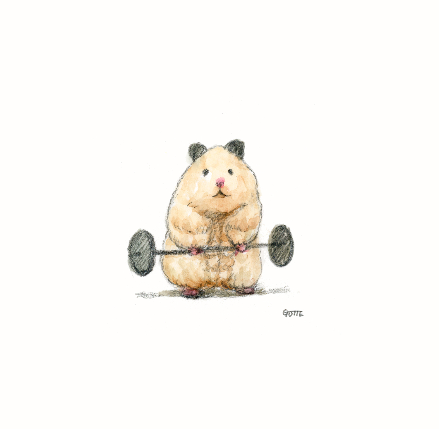 Gotte Hamsterpainter 筋トレハムスター T Co Cbjubwsq8q Twitter