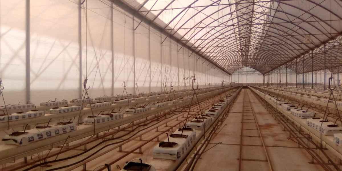 Inside view of Tunisia K8 Project.
<a href="/AgrikolTunisie/">Agrikol Tunisie</a> <a href="/EusiAgrikol/">EUSI Agrikol</a> <a href="/AgrikolQ/">agrikol qro</a> 
#construction #greenhouse #building #agriculture #horticulture #greencompany #organic