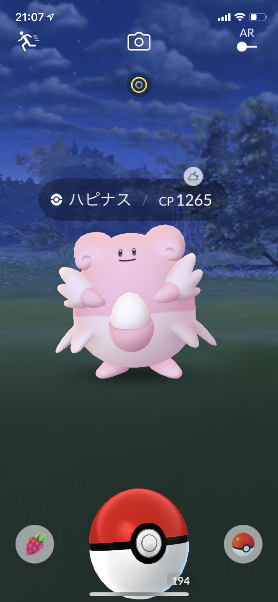 野生ハピナス Twitter Search Twitter