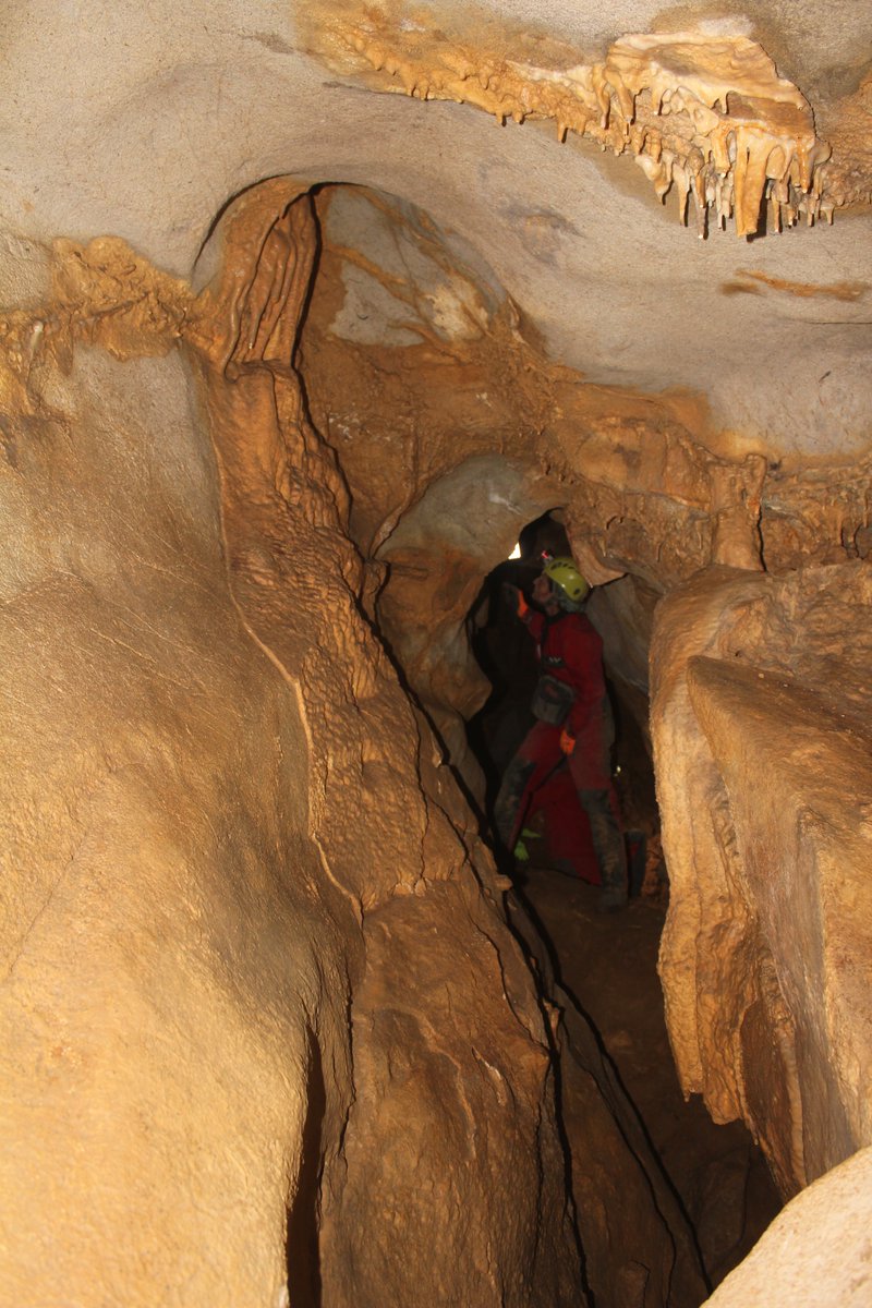 _blancaochoa's tweet photo. La semana pasada comenzamos el registro de grafías en la cueva de #Erlaitz (Gipuzkoa) con el apoyo técnico de @Antxieta_Taldea. También tomaron datos para levantar una topografía actualizada de la cavidad... Los trabajos han sido financiados por @GipuzkoaKultura Abro 🧵👇 https://t.co/36Zt8EWY8w