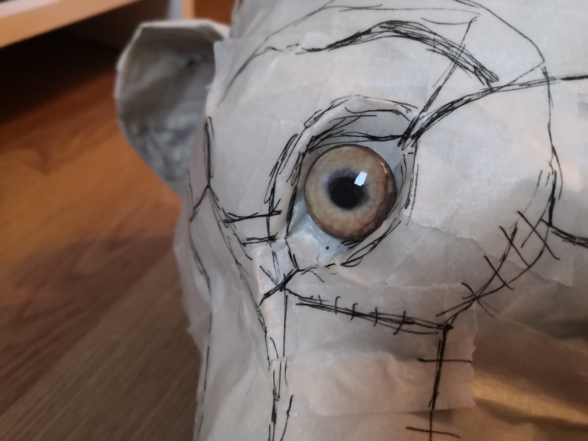 skullsbesan's tweet image. The eyes i bought for my wolf plush came today!! Theyre glass taxidermy eyes i bought from Handmadeglasseyes on ebay. Still need to buy one more faux fur and i can begind work on this :) 
#plushiemaking #wolfplush