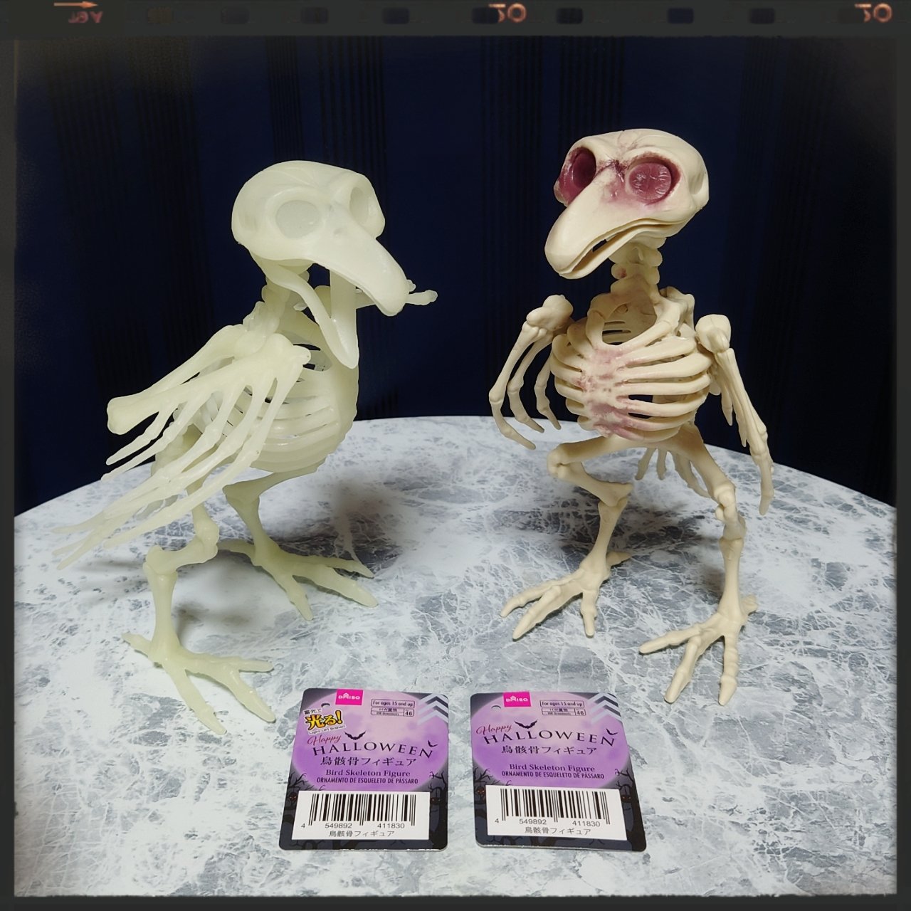 くろうる ダイソーさんのハロウィン商品 鳥骸骨フィギュアをお迎え とても不気味で愛らしい T Co Jl5xamgte5 Twitter