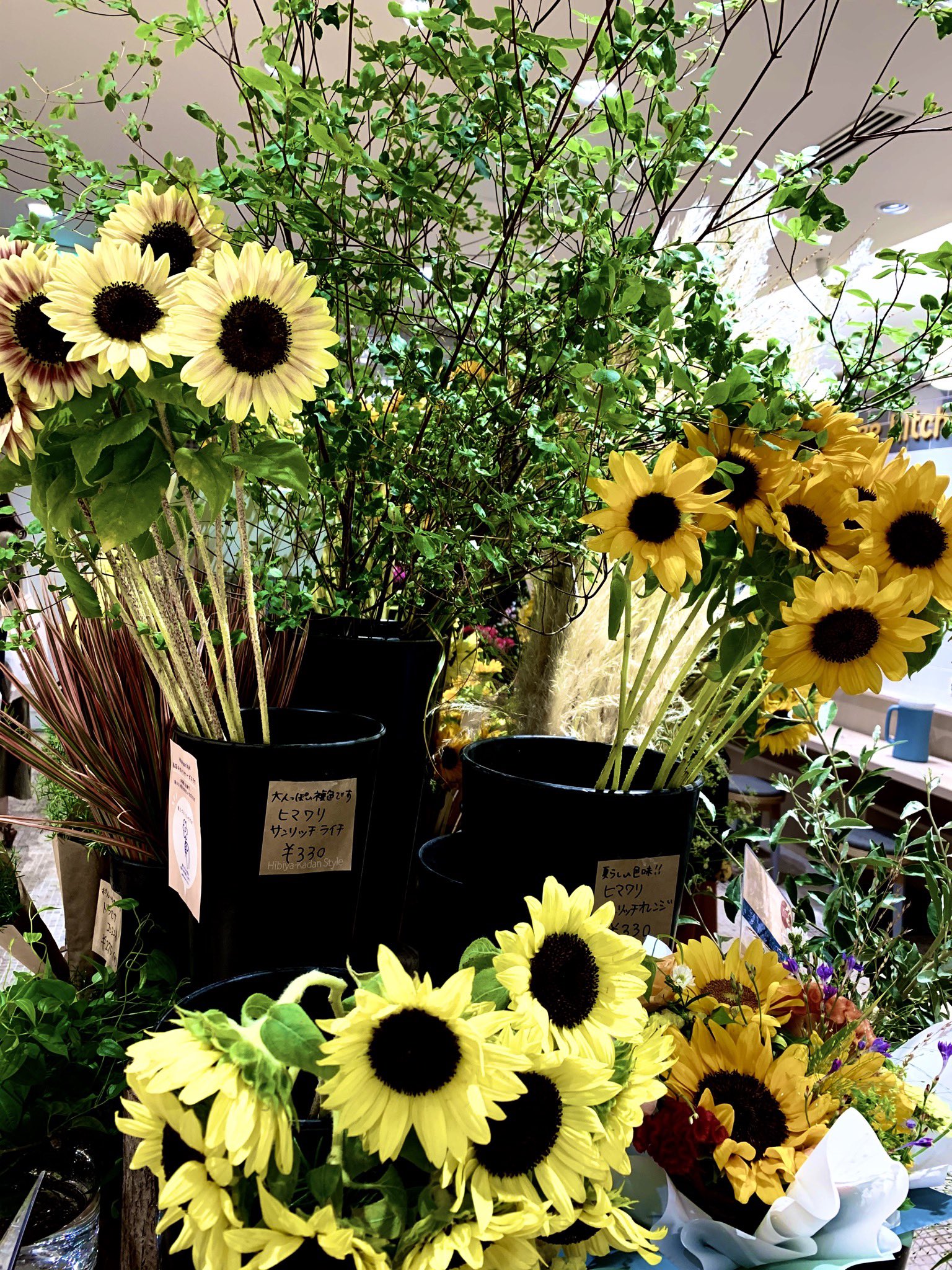 ひまわりの花言葉 Twitter Search Twitter