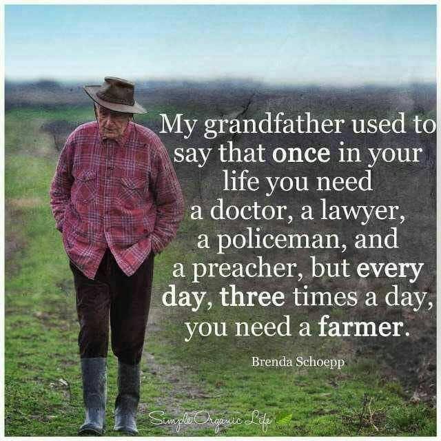 MaminiminiObert's tweet image. Good morning to all farmers and stakeholders of the farming fraternity. Looking forward to a favourable rainfall season @MoLAWRR_Zim @AgritexS @zfu_official @ZCFU_official @ThamuTawengwa @onias_mlambo @PhiriDivah @yoAgronomist @WendyMadzura @Rusere_Ronald @PGambara @MarichoMedia