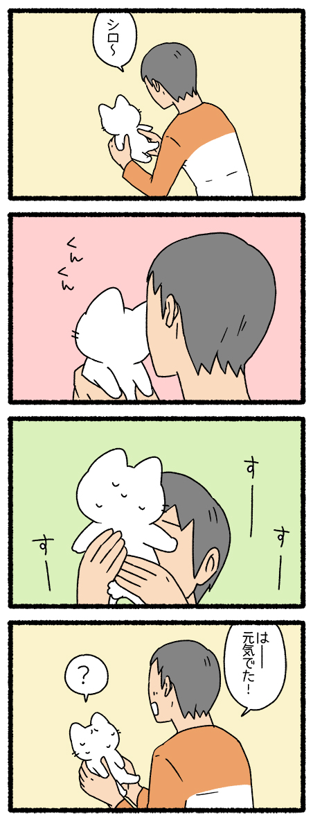 ねこようかい のっぺらぼう
#ねこようかい 