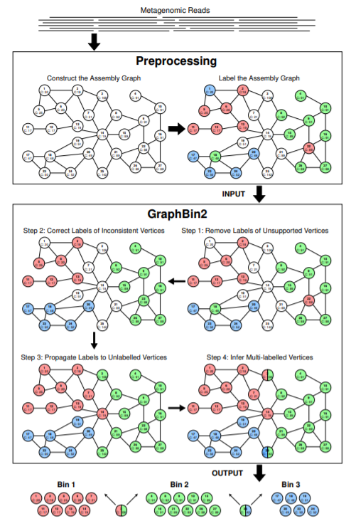 MColebrook's tweet photo. GraphBin2: Refined and Overlapped Binning of #Metagenomic #Contigs Using Assembly #Graphs https://t.co/b8tC6JCZa3 by 
VG Mallawaarachchi, AS Wickramarachchi, Y Lin #WABI2020
cc: @thedvke @LabCflores @joluroga https://t.co/YOiLRLvGXO