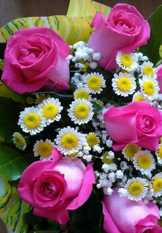 Хорошего дня 🍃🌺